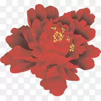农历新年牡丹黄道花牡丹