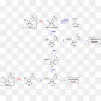 KK 2代谢途径化学反应催化核苷酸挽救途径