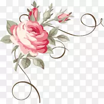 花卉装饰-玫瑰-玛莎拉
