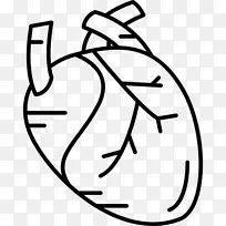 心脏人体电脑图标-人类心脏