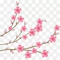 樱花剪贴画-樱花水彩画