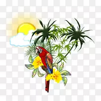 鸟朱红金刚鹦鹉真鹦鹉喙-热带