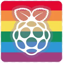 raspberry pi 3通用输入/输出微型计算机noobs-pi