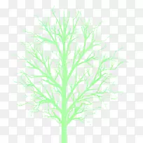 木本植物枝