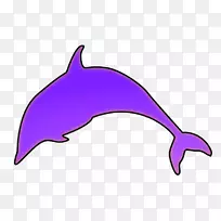 普通宽吻海豚图库溪紫灵芝