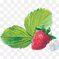 麝香草莓-覆盆子