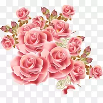 花园玫瑰桌面壁纸花粉红色水彩花