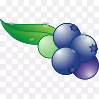 膳食补充剂蓝莓口炎治疗水果蓝莓