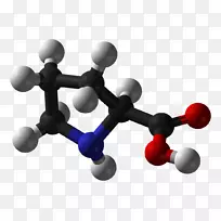 脯氨酸氨基酸羧酸胺蛋白-1