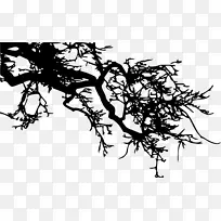 剪影枝条，树木视觉艺术绘画-树枝