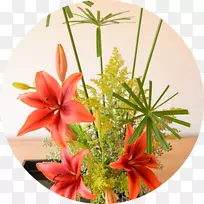 花卉设计-夏威夷花
