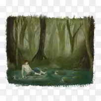 八友水彩画湿地生态-沼泽