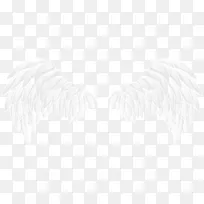 黑白单色摄影画线艺术翅膀