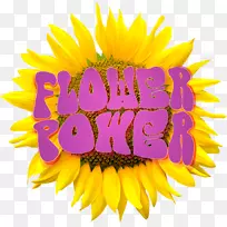 布鲁门向日葵图像解析剪辑艺术-花卉标志
