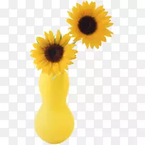 两朵向日葵学生运动花瓶普通向日葵