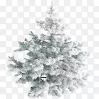 圣诞树-雪