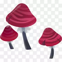 红菇真菌