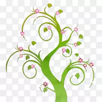 L‘Albero della Natura S.N.C.盆景