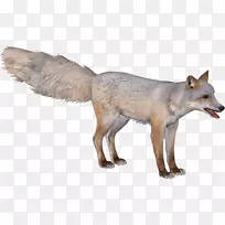动物园大亨2只红狐喙囊狐狸布兰福德的狐狸灰狼-芬尼克狐狸