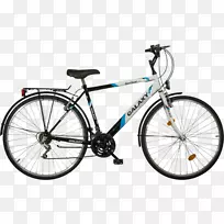 大型自行车专业自行车零部件罗利自行车公司施文自行车公司