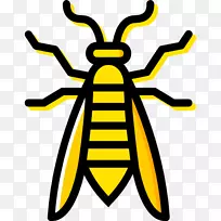 昆虫黄蜂害虫控制计算机图标-黄蜂