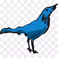 鸟蓝剪贴画-蓝鸟