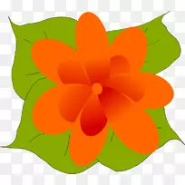 花叶剪贴画-橙色花朵