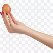 煎蛋显示分辨率-手握