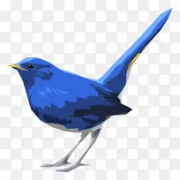 蜂鸟秃鹰-蓝鸟