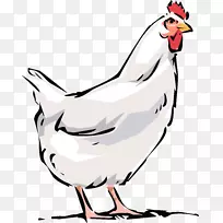 多米尼克鸡肉鸡夹艺术-母鸡