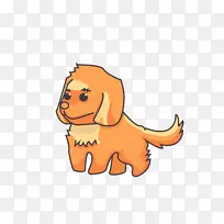 石子金毛猎犬-金毛猎犬