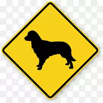 交通标志驾驶道路车辆学校区-金毛猎犬