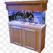 水族馆灯光柜埃尔默水族馆及宠物中心热带鱼鱼缸