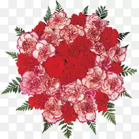康乃馨花束花园玫瑰-康乃馨