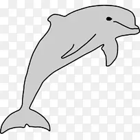 海豚下载剪辑艺术-海洋生物