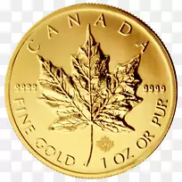 加拿大金枫叶金币皇家加拿大铸币金箔