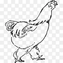 鸡汤公鸡炸鸡夹艺术-母鸡
