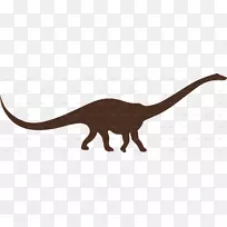 猫陆生动物野生动物尾巴生物-恐龙