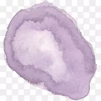 紫紫丁香薰衣草水彩兔
