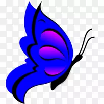 蝴蝶画夹艺术-蓝色蝴蝶