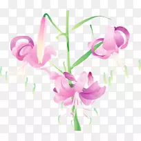 花卉水彩画百合花手绘花卉