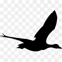 鸟类飞行鹅夹艺术-动物轮廓