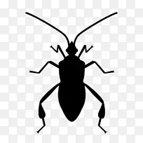 昆虫软件Bug swatter计算机图标.bug