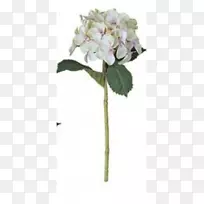 人工花法国绣球花植物茎绣球花