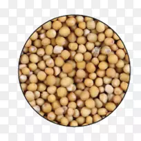 白芥菜籽芥菜香料种子