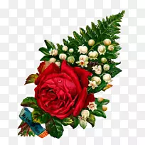 古典玫瑰：美丽的家庭和花园百合花插花艺术-百合花山谷