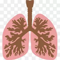 肺电脑图标剪辑艺术-肺