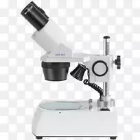 立体显微镜光学显微镜物镜显微镜