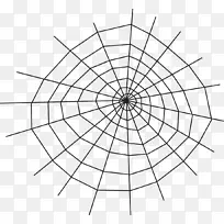 笛卡尔坐标系极坐标图的功能图纸图-蜘蛛网