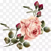 花卉花园玫瑰剪贴画-复古花